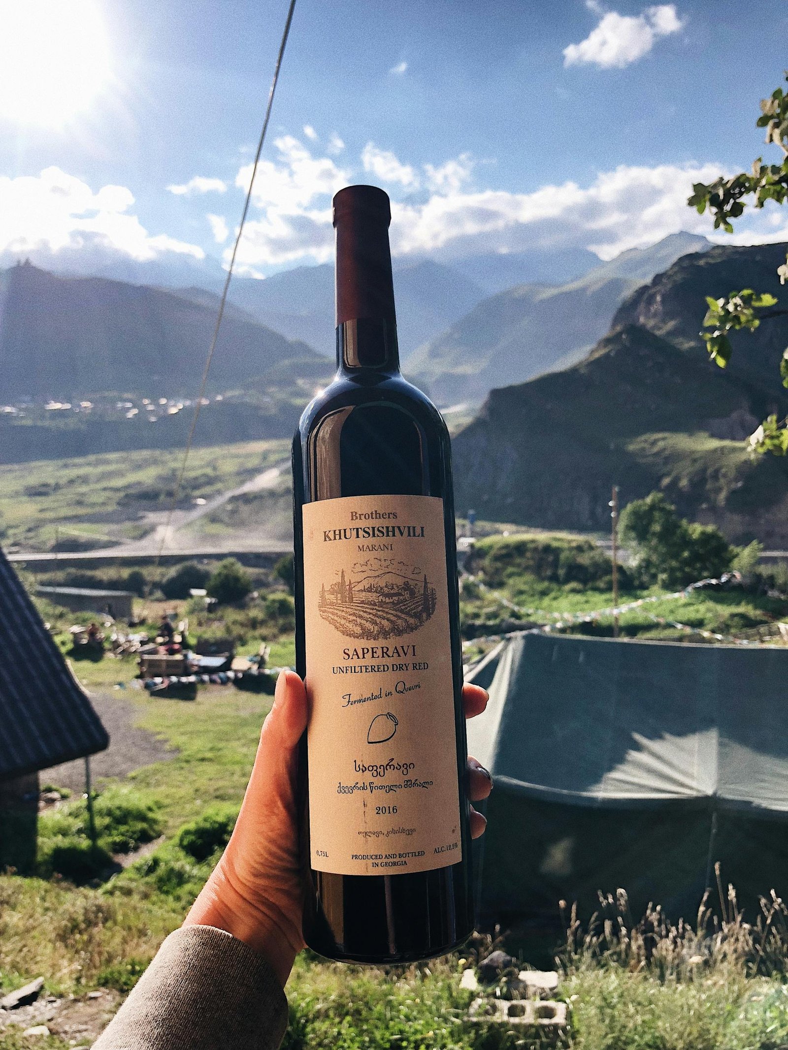 A hand holds a Saperavi wine bottle against a backdrop of beautiful mountains.